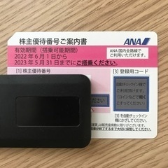 ANA 株主優待券 2023/05/31まで搭乗