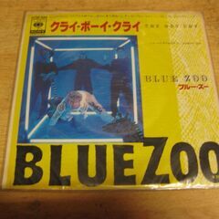 4380【7in.レコード】BLUEZOO／CRY BOY CRY