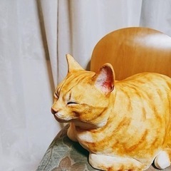 小澤康麿 猫 手びねり猫 香箱座り 茶トラ