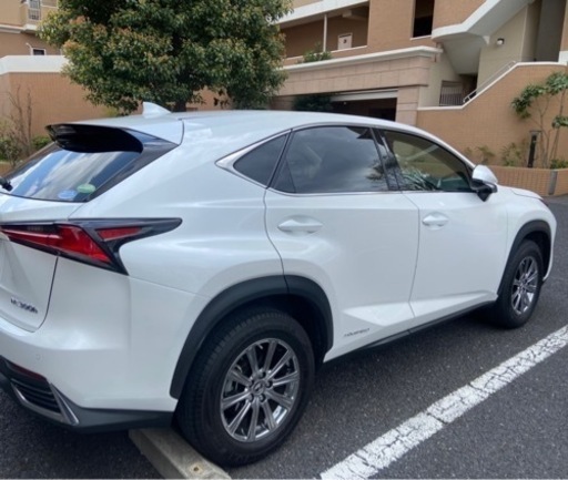 良い 豊かな社会の実現 安田善次郎の霊言 大川隆法