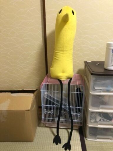 等身大プンプン