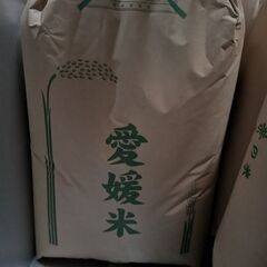 農家のお米 R2年度 コシヒカリ玄米30kg ①