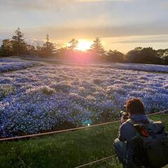 友達募集です。宜しくお願いします。