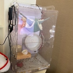 中古GEXアクリルルーム390high ヒーター付　小動物ゲージ
