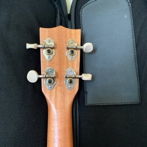 Kailua CK-150MO マンゴー材のコンサートウクレレ