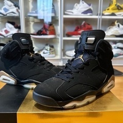 AIR JORDAN6 DMP エアジョーダン6 ゴールド　29cm