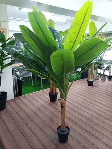 ⑬【処分価格】新品 バナナツリー1本 人工観葉植物 フェイクグリーン