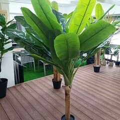⑭【処分価格】新品 バナナツリー1本 人工観葉植物 フェイクグリーン