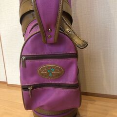 バレンシアガ ゴルフバッグ ゴルフセット 12本 ドライバー アイアン