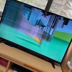 43型液晶テレビ （問い合わせ4月11日まで）