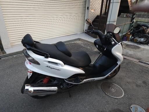 バイク屋からの出品　動画　美車　純正キー2本　大阪羽曳野市　M.Sオート　安心の整備済み　マジェスティ バイク屋からの出品 動画 美車 純正キー2本 大阪羽曳野市 M.S