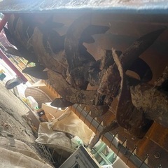 コバシ　ハロー