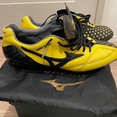 早い者勝ち　ミズノ ウェーブイグニタス 国内500足限定 26cm