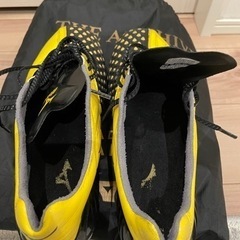 早い者勝ち　ミズノ ウェーブイグニタス 国内500足限定 26cm