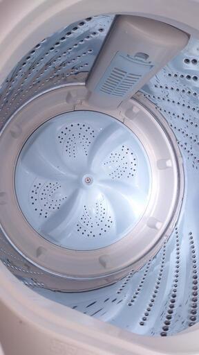 Hisense ハイセンス 5.5kg 全自動洗濯機 HW-T55C 2019年製 ステンレス槽 風乾燥 槽洗浄