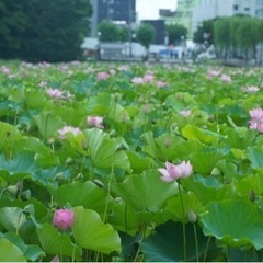 一緒に風景写真を撮ろう❗️