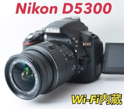 Nikon D5300★S数約3650回★Wi-Fi内蔵★初心者向け 1ヶ月動作補償あり！ 安心のゆうパック代引き発送！ 送料、代引き手数料無料！