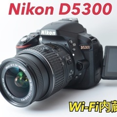 Nikon D5300★S数約3650回★Wi-Fi内蔵★初心者...