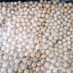 山口県産大豆 品種さちゆたか  1キロ