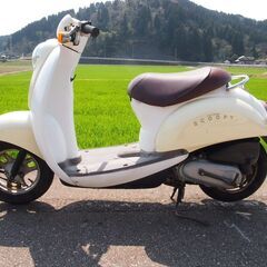 HONDAクレアスクーピー実働50cc 原付 富山、石川、金沢