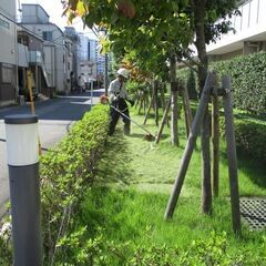 自然・樹木好き集まれ！造園・植栽管理補助 − 埼玉県