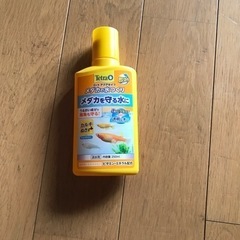 取り引き終了。メダカ買ってたら是非