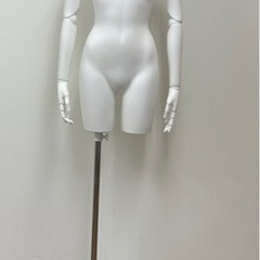 腕付きマネキン レディース トルソー ボディ 腕取り外し可能 太もも付き