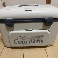 【値下げ】COOL OASIS クーラーボックス 10L
