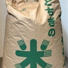 令和３年　コシヒカリ30kg　精米済　未使用