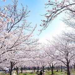 ちょっとしたお困り事、お手伝いいたします