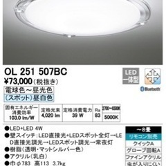 オーデリック　ODELIC LED シーリングライトOL251 ...