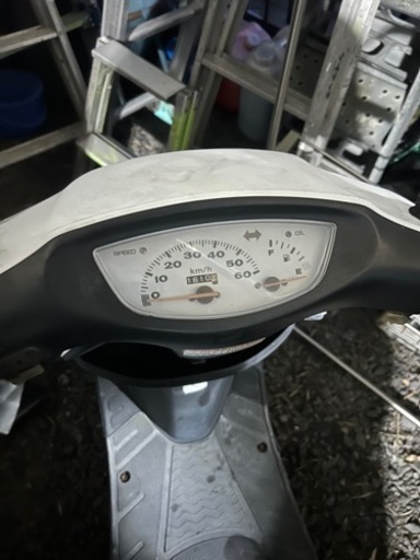 ホンダディオ白整備済み