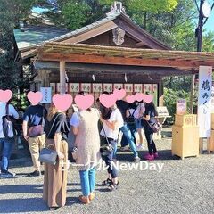 🌷 （予定）アウトドア散策コン in 金刀比羅宮！🌟四国のイベン...