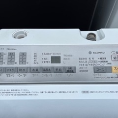 2017年式 8kg Panasonic 洗濯機