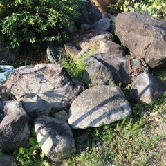 庭石　色々