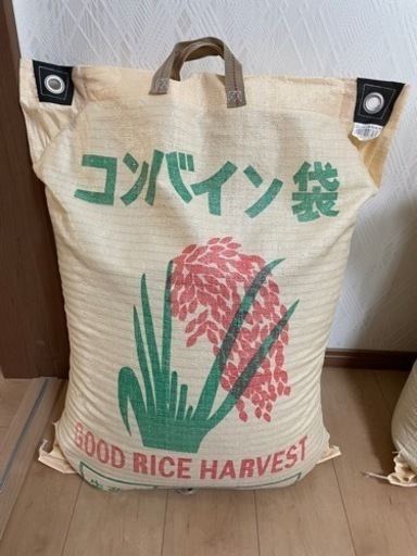 新米ひのひかり 籾30kg✖️【2俵】生産者直売