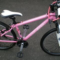 ★　LOUIS GARNEAU  ルイガノ LGS-5 3×8変速