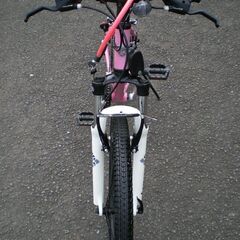 ★　LOUIS GARNEAU  ルイガノ LGS-5 3×8変速