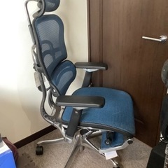 エルゴヒューマン プロ オットマン付き