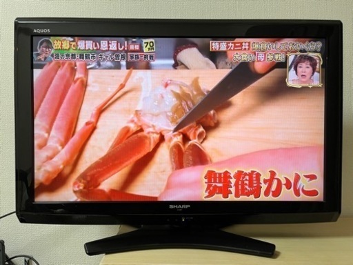 液晶テレビ　SHARP L32E9