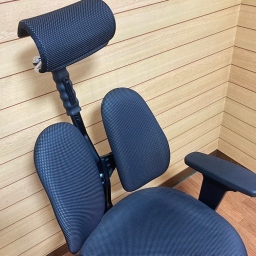 オフィスチェア パソコンチェア DUOREST/デュオレスト DR-250 高機能 ワークチェア の通販 | チェア | ガラージ 【 Garage 】