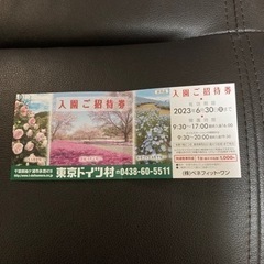 【お値下げ】東京ドイツ村　招待券　チケット