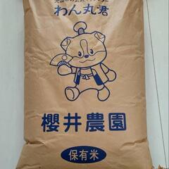 お米 保有米 玄米 30kg