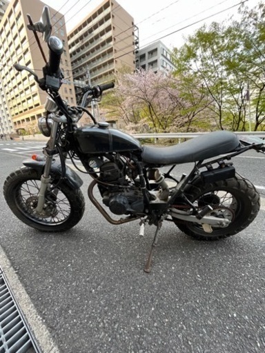 TW200カスタム　不動