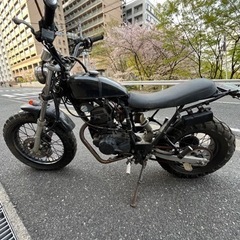 TW200カスタム　不動