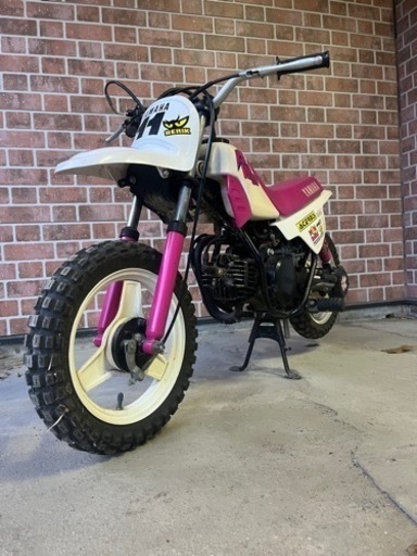 PW50 キャンプに子供に！ 希少 | procomm.ca