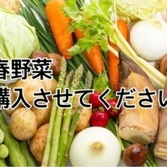 春野菜購入させてください！