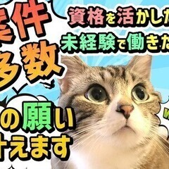 【日払い可】【土日祝休み】免許が活かせる・週払×日勤の好条件ワー...