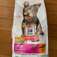 子犬用ごはん