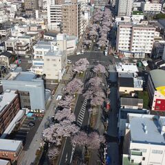 ドローン空撮　災害調査　屋根点検　包括申請済　建物竣工写真　メガソーラー　コルフ場 − 茨城県